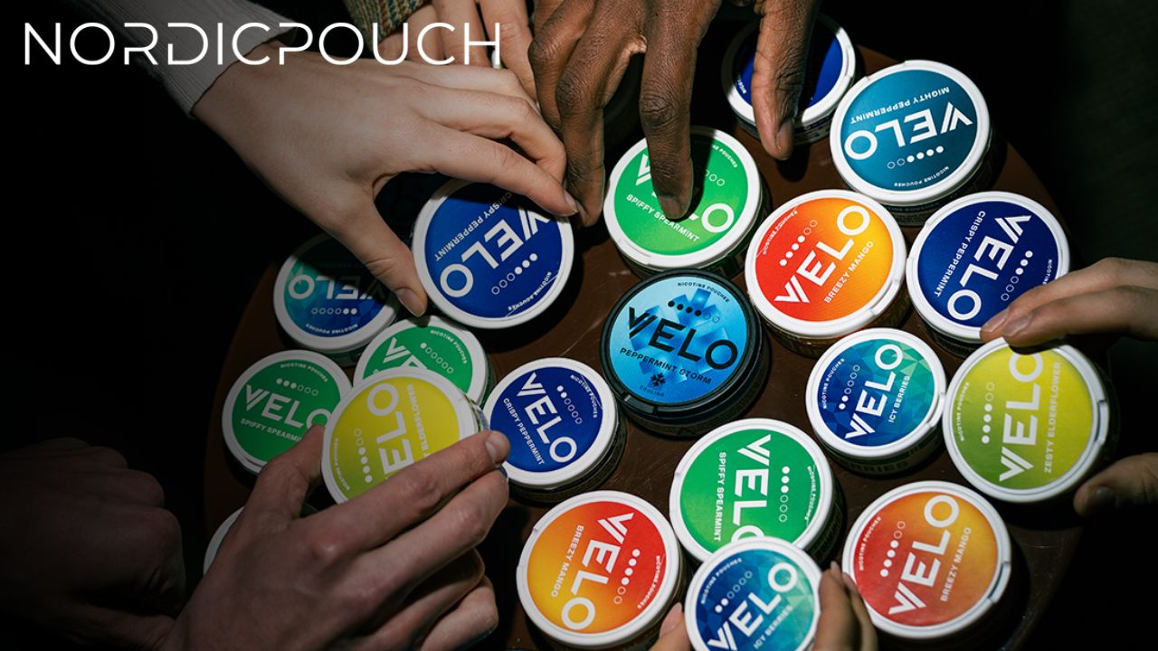 What’s Next? Exciting New Additions to Our Premium Pouch Collection