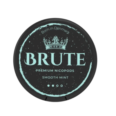 BRUTE Smooth Mint 9.5mg/pouch
