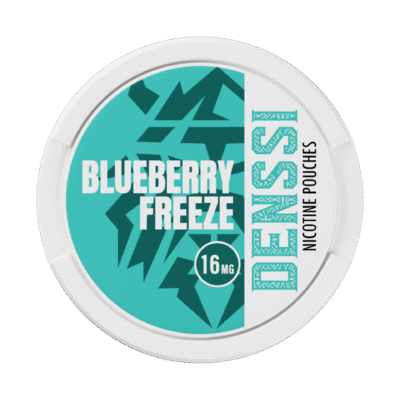 Denssi Blueberry Freeze 8mg/pouch